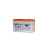 BlueStorm 12V 9Ah Gel Battery