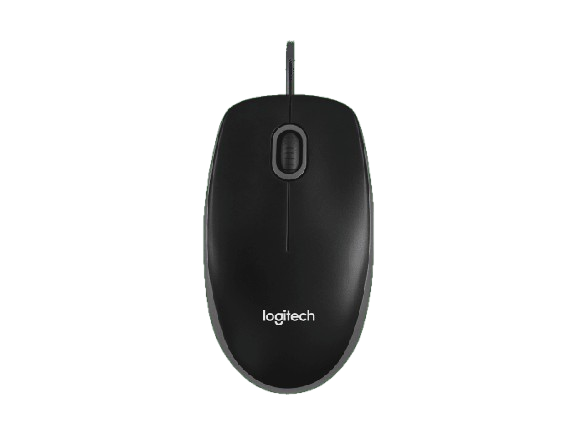 B100 Optical USB Mouse